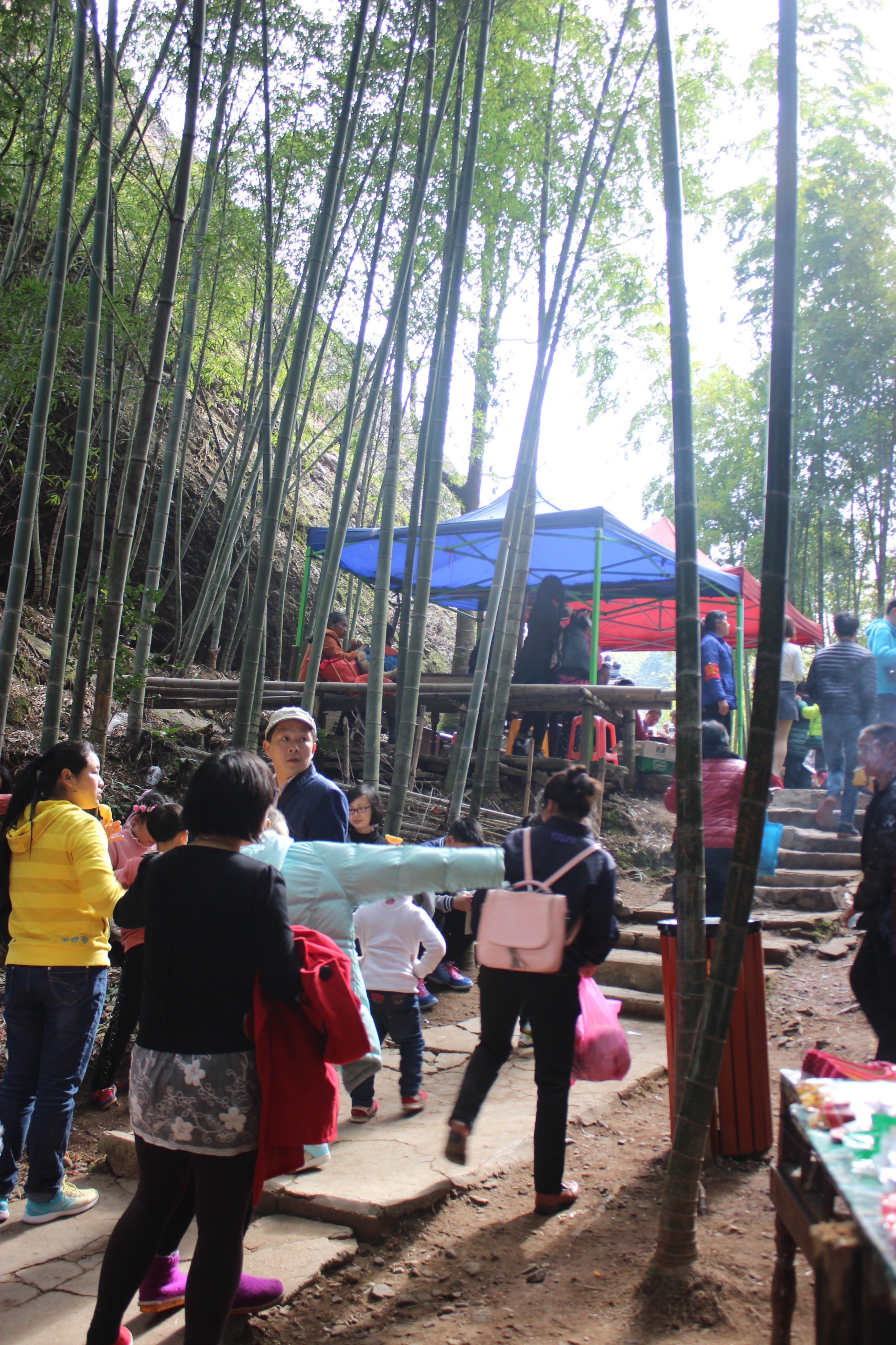 赣州周末出游攻略,春节赣州出发2-3天短途旅游