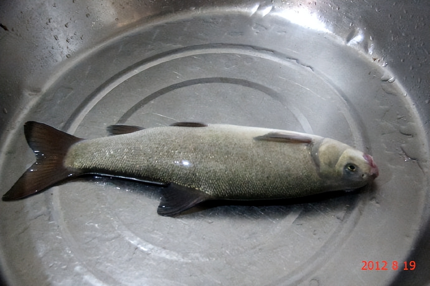 自驾游西藏318川藏线如何回来,川藏自驾游巴塘到八宿路段