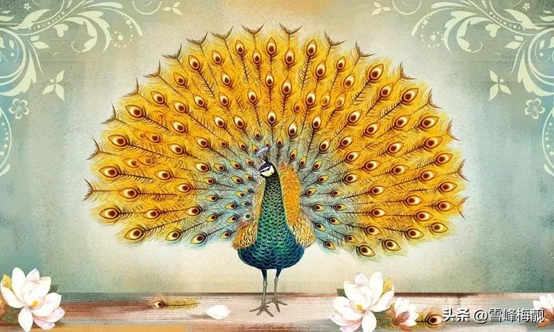 疫情之下的生活状态和感悟,疫情之下对生命及生活的感悟