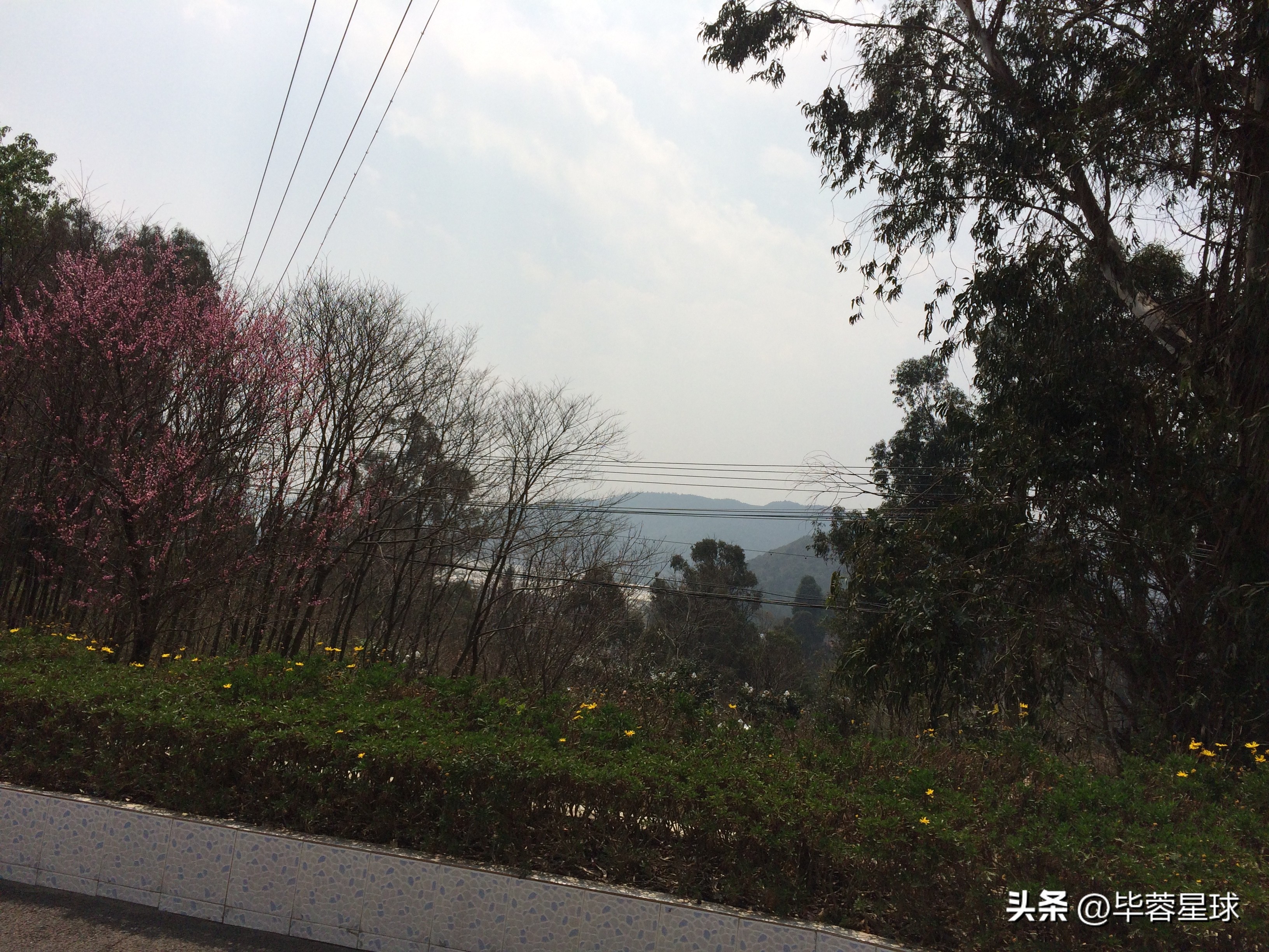 观音山公墓，为外婆下葬的一天，是提醒，是童年青春时代的告别