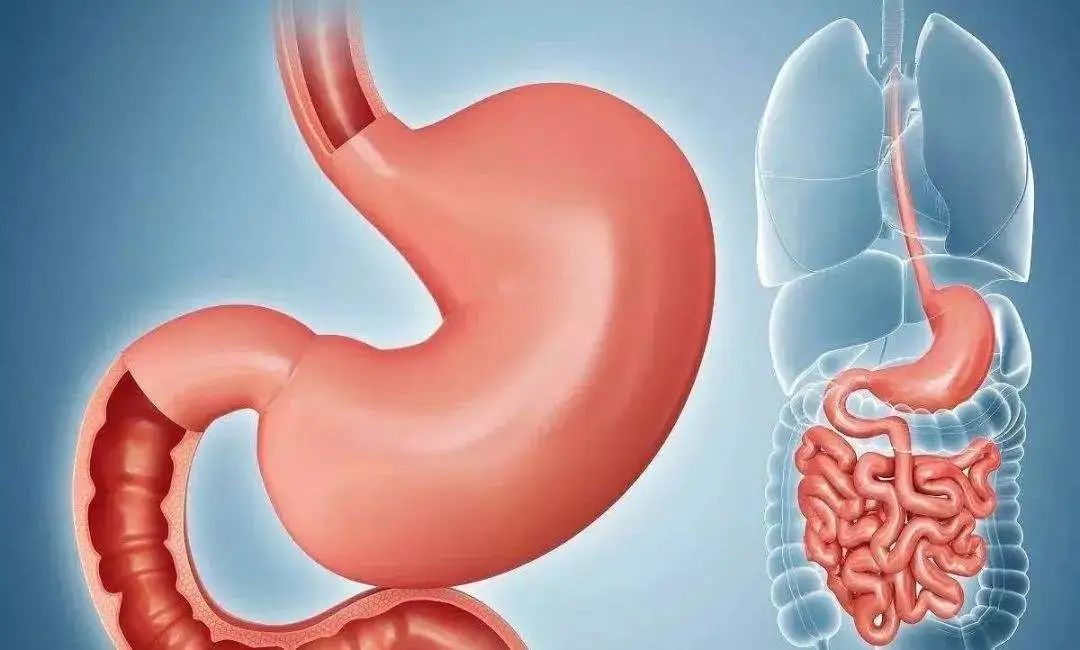 胃肠胀气引起的疼痛如何快速解决,胃肠胀疼