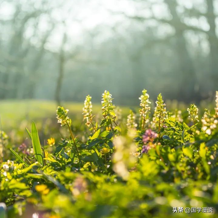 「时间」的那些雅称，美极了！