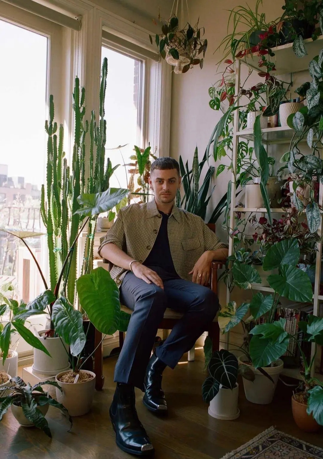 治愈系盆栽绿植推荐,室内小型绿植花卉推荐品种