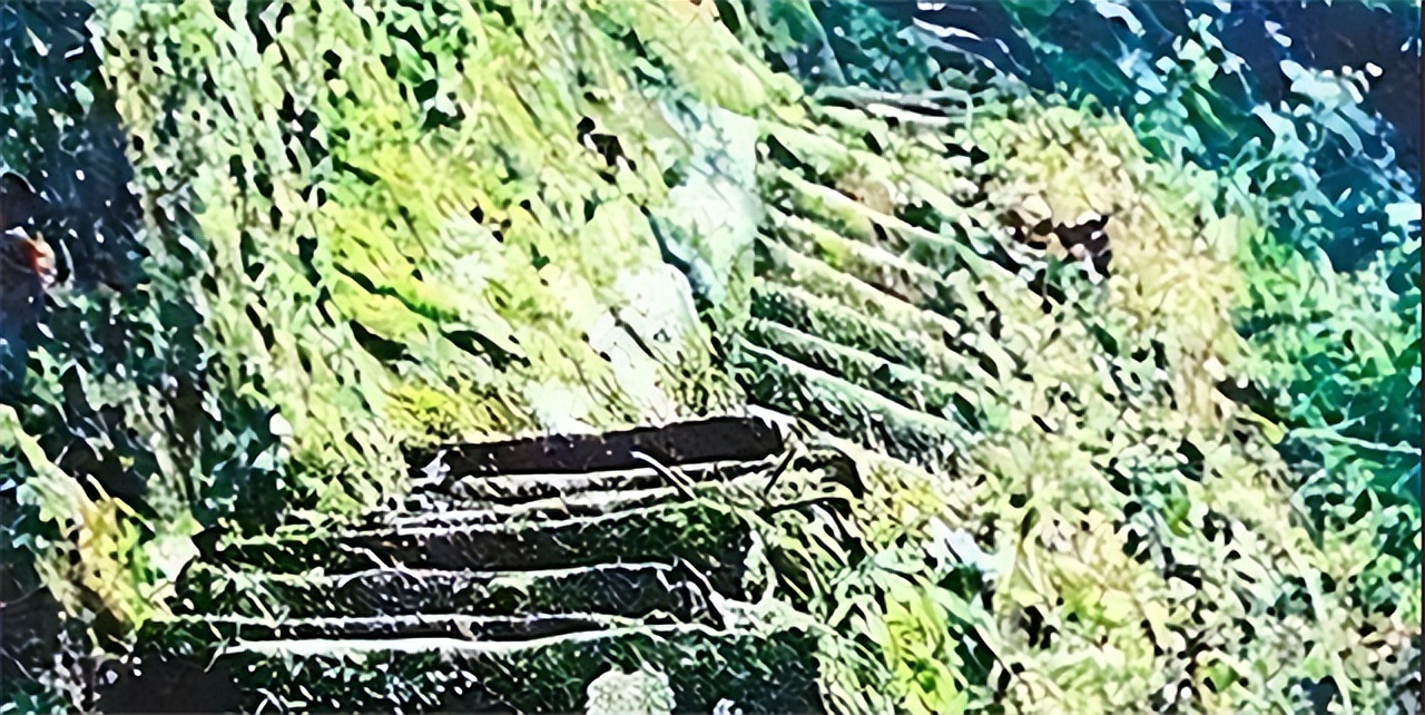 小伙带29岁寡妇隐居深山50年,19岁小伙与寡妇隐居深山50年