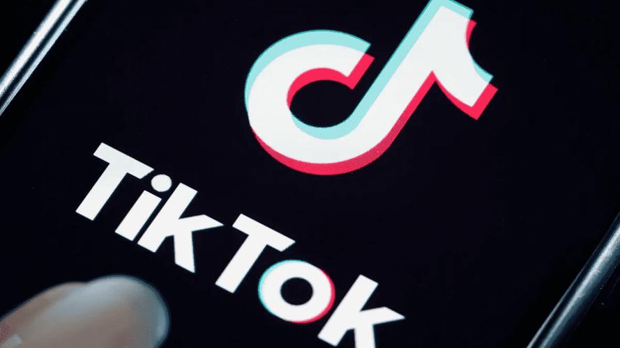 tiktok跨境电商新手小白怎么玩,tiktok除了跨境电商还能怎么赚钱