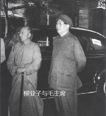 《*园春沁**·雪》轰动重庆,蒋介石问陈布雷:你觉得毛*东泽**的词如何