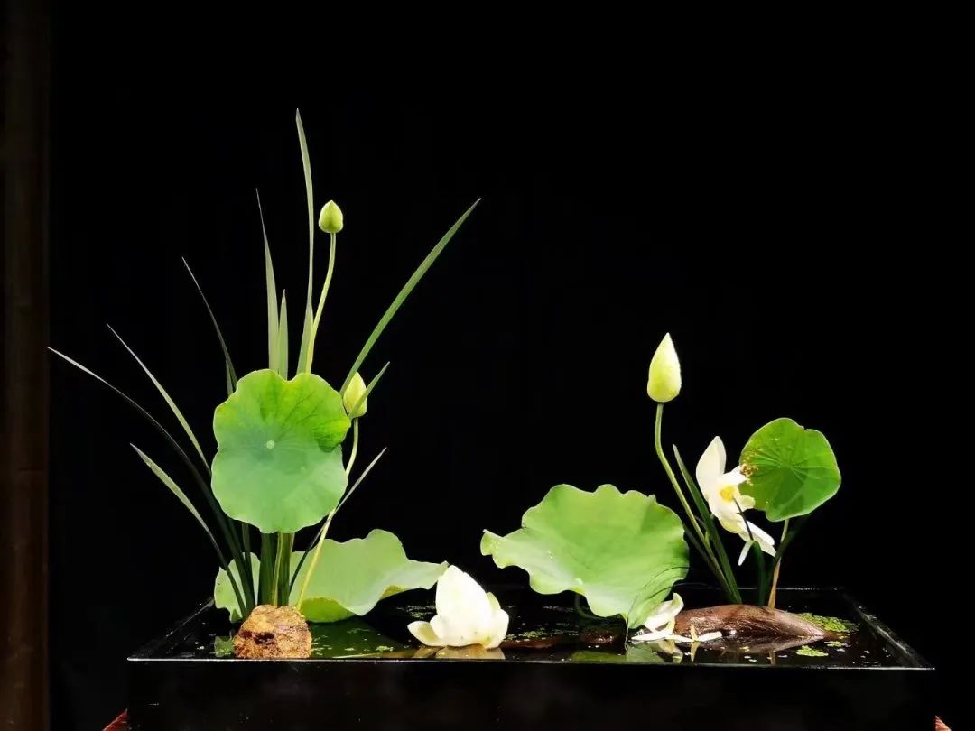 日本顶级禅意插花荷花,日式荷花插花