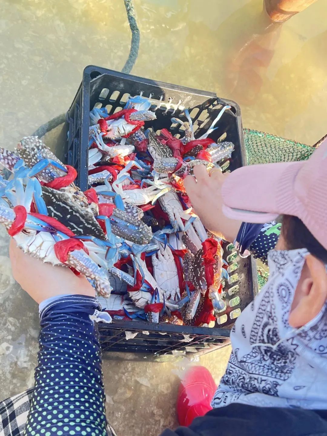 厦门开禾路海鲜推荐,厦门海鲜在哪个港口买便宜