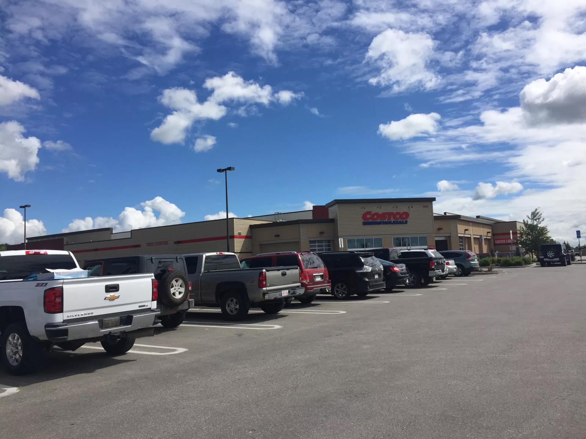 青岛如何带上猫猫去加拿大多伦多,钱猫猫加拿大之旅