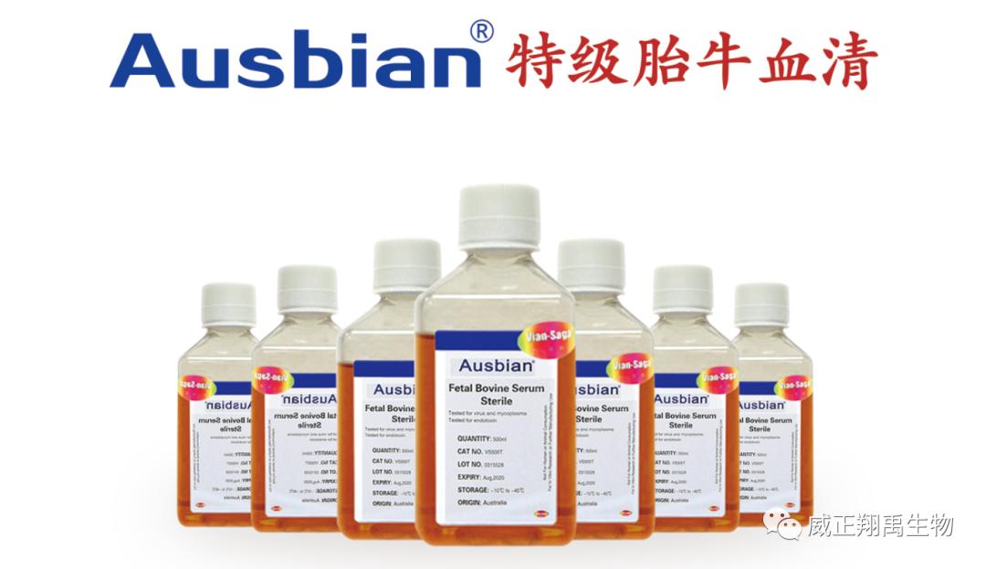 血清抽取的注意事项,血清参考范围根据什么来的