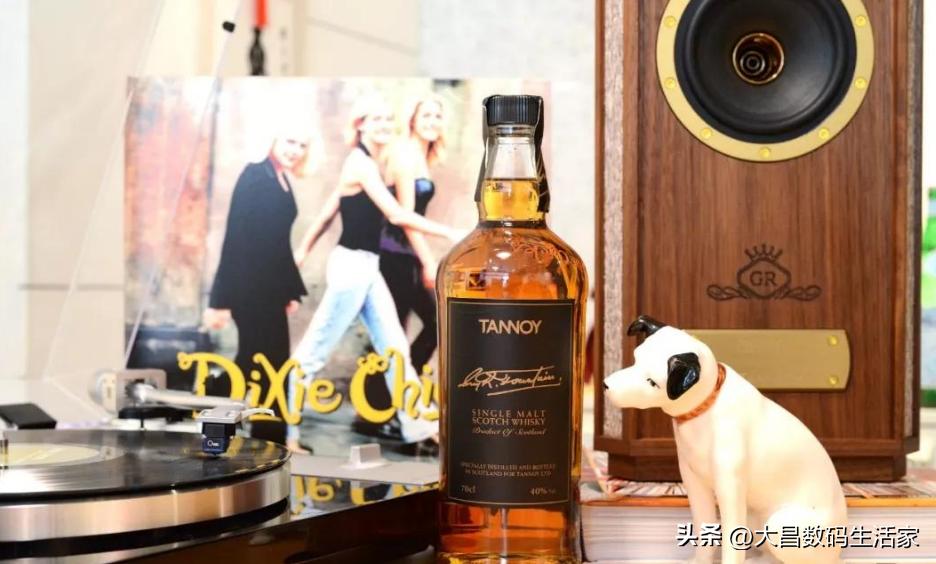 英国天朗caernarvon10寸同轴落地音箱,天朗mini-gr