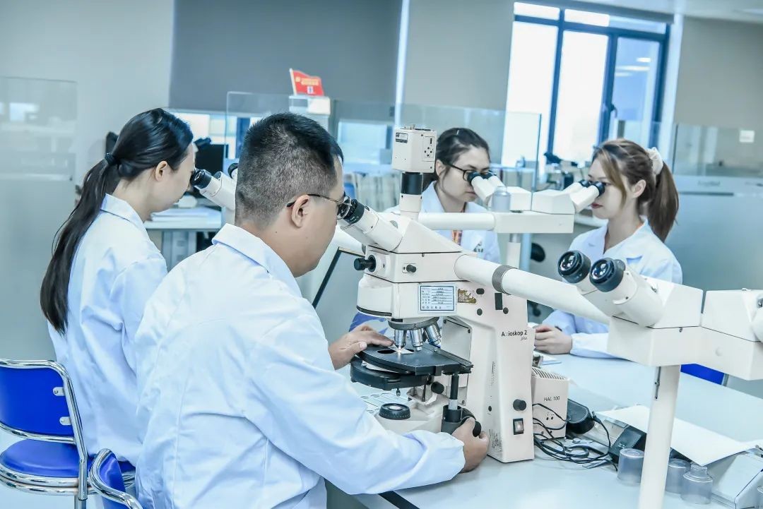 金域检测去哪里检测,金域检测报告