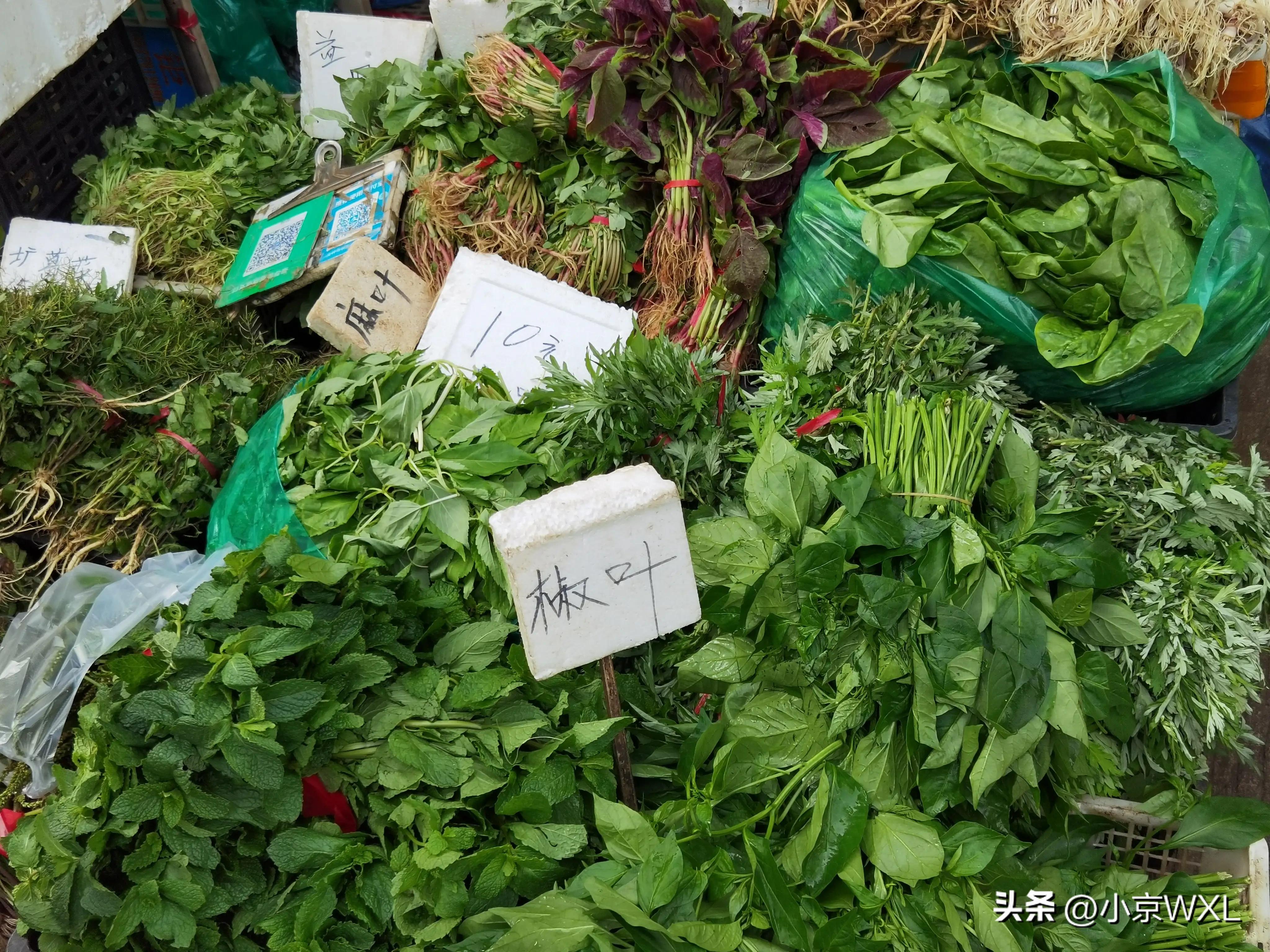 广州沙园市场地址,沙园市场购物攻略