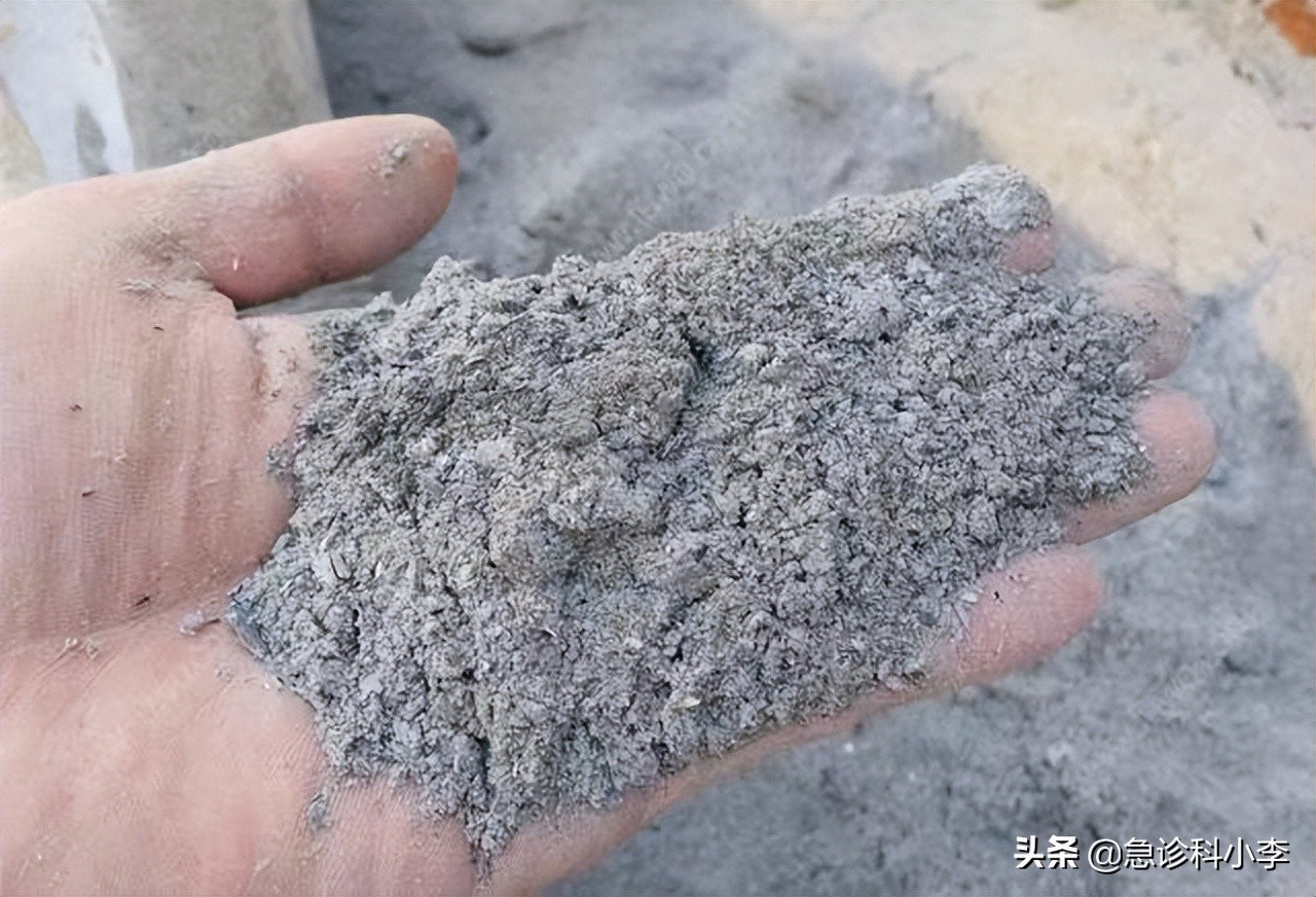 虱子和虱子有什么不同,虱子与人类共存千万年为何不见了