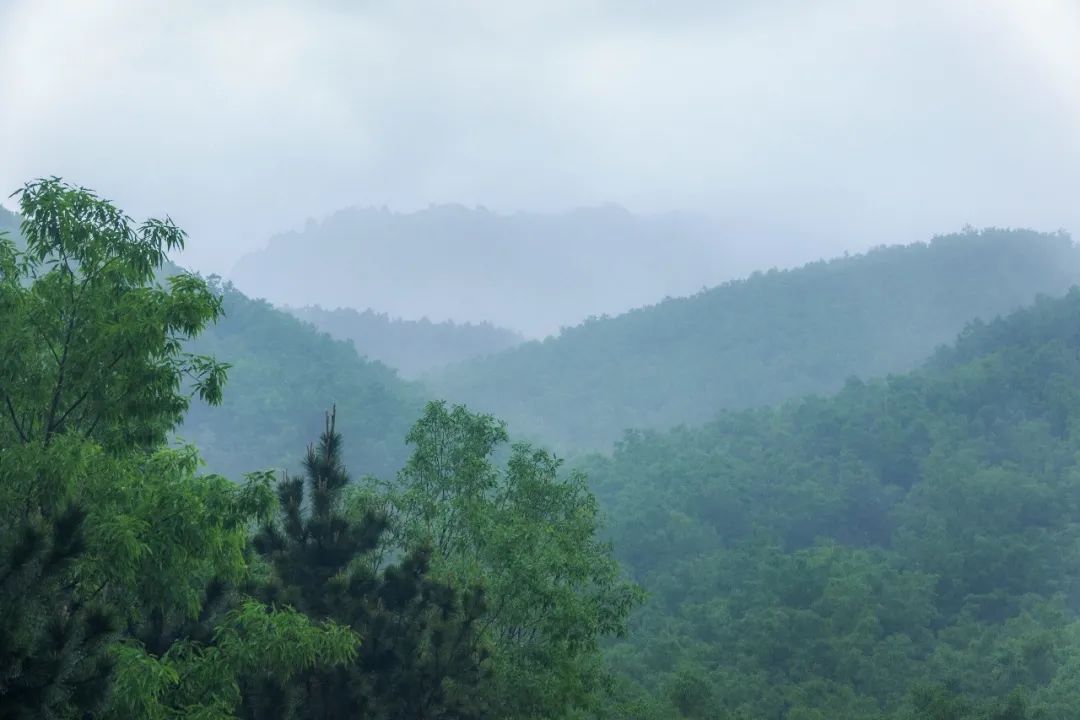 2022阿朵暑期研学季·竹马自然探学|沉浸式自然教育，探寻真假“海上方”