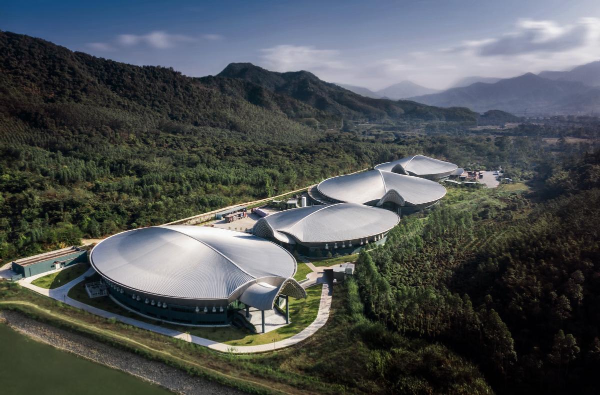 3比0大胜日本国乒问鼎冠军,日本3比2逆转韩国队