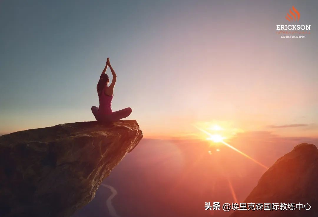 玛丽莲老师解读教练五大原则