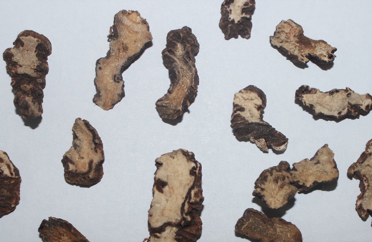 带你识别灵芝,重楼品种识别视频