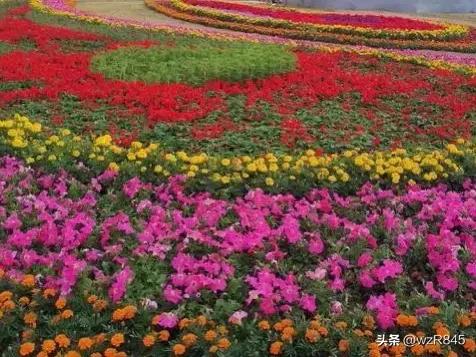 深圳宝安公园一日游攻略,深圳旅行日记十三集