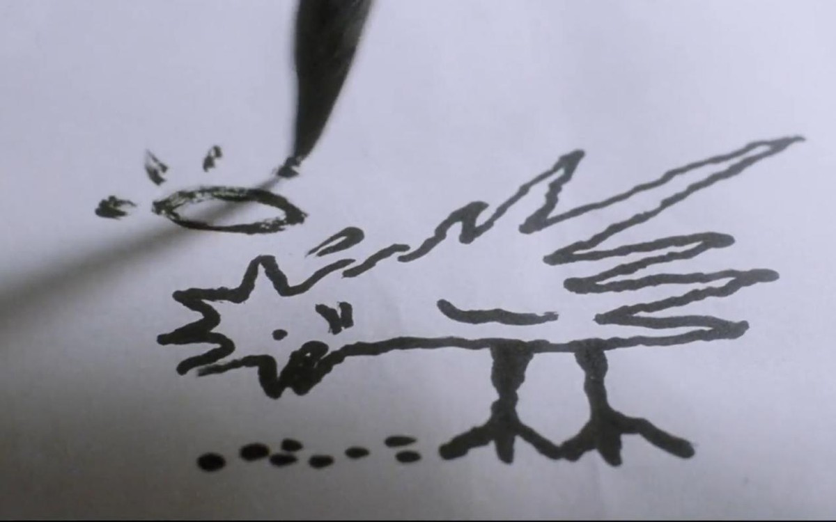 哪些鸟是猛禽,什么鸟属于猛禽