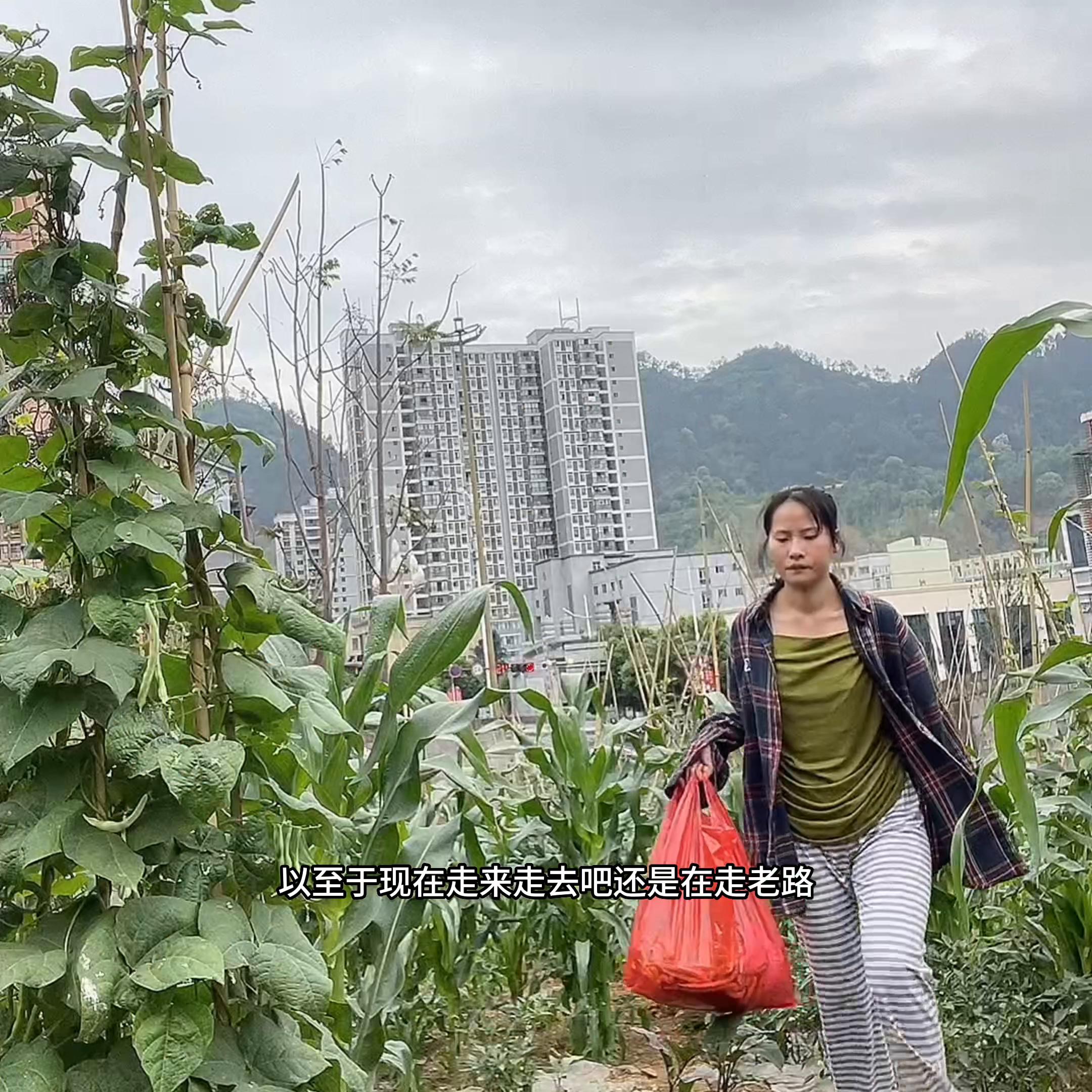 30岁女设计师辞掉高薪工作,女孩在设计师家当保姆