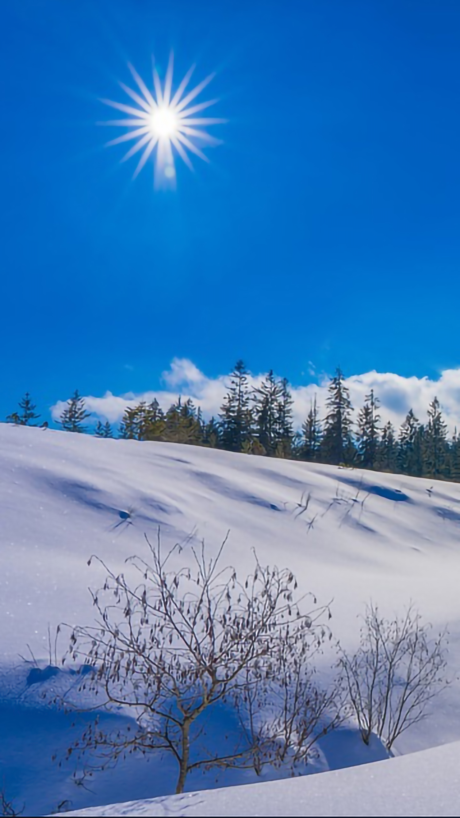 好看的手机桌面壁纸和锁屏壁纸,总有一张壁纸适合你手机屏保精选