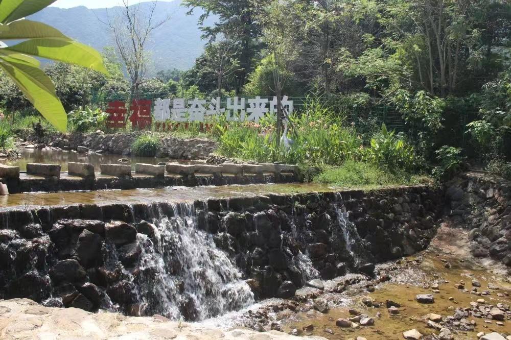 安溪县湖头镇：乡村蝶变满目新振兴路上阔步行