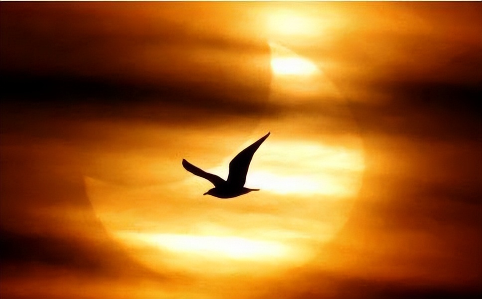 怎样才能找到自己真正的人生定位,没有定力的人适合读什么书