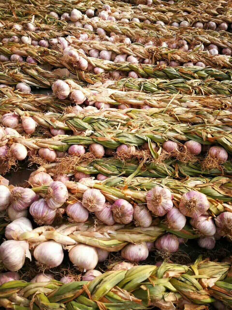 天津有哪些特色土特产,天津的特产什么地方的最正宗