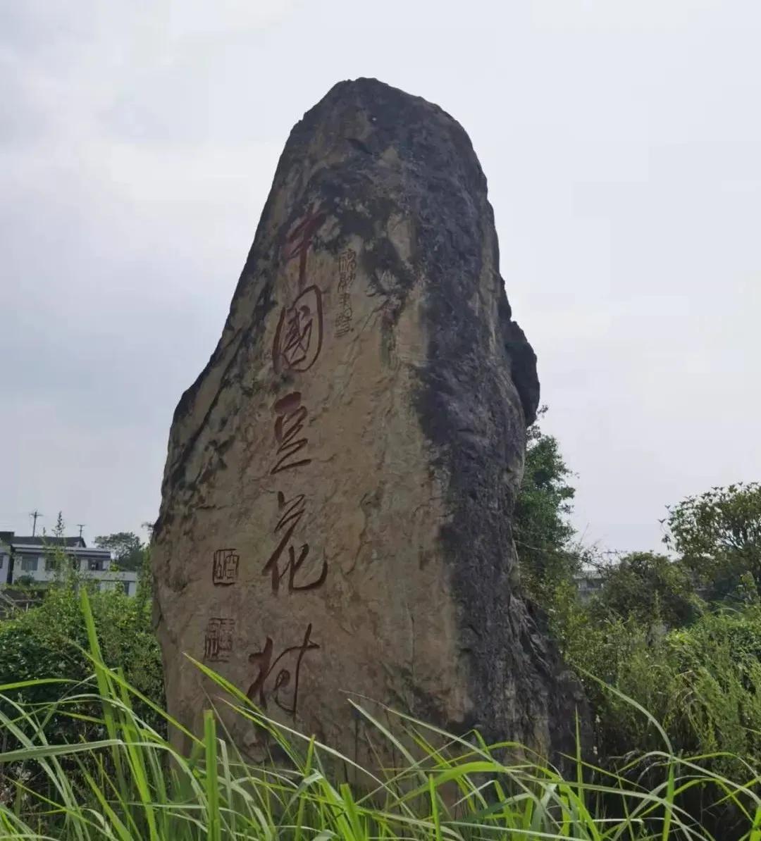 卤水豆腐卤水是什么制成的,卤水豆腐是哪年产生的