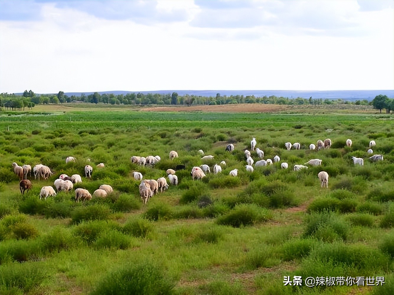 壮美内蒙古鄂尔多斯,内蒙古鄂尔多斯风景