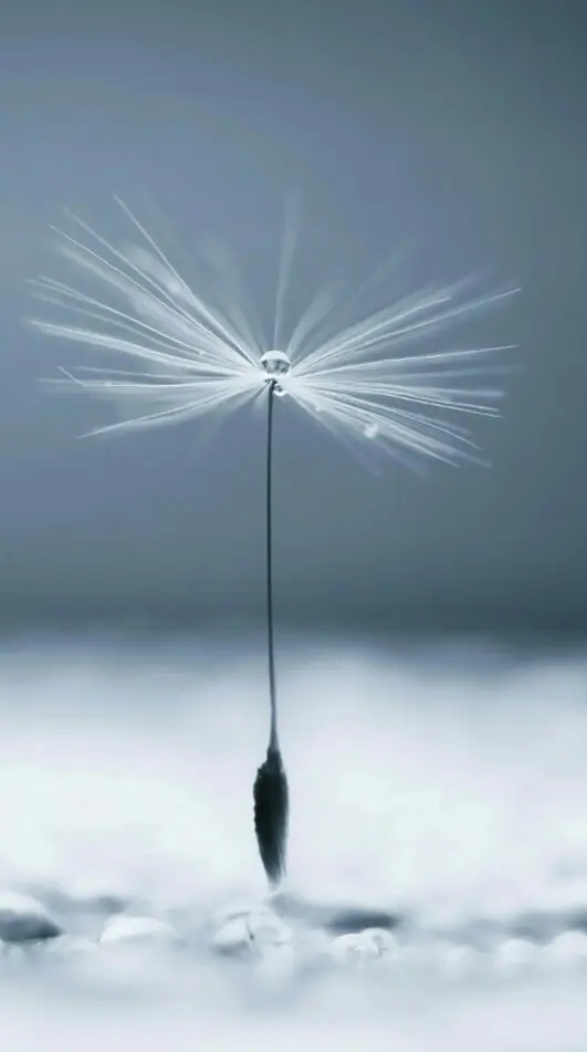 散文简单活着就是人生的精致,散文人心简单了就幸福