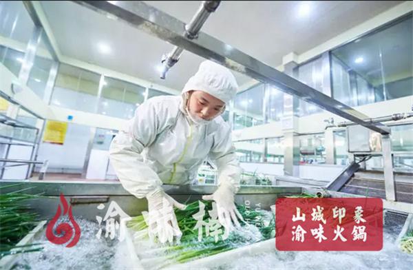 渝味楠火锅加盟费用多少,渝厨生态火锅加盟