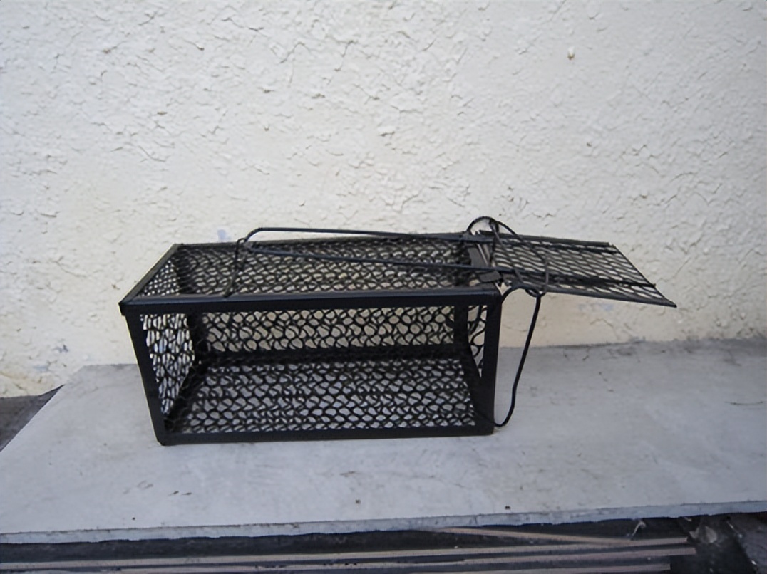 榧犵被缁煎悎闃叉不鐭ヨ瘑,涓撲笟闃查紶闃茬柅鐭ヨ瘑