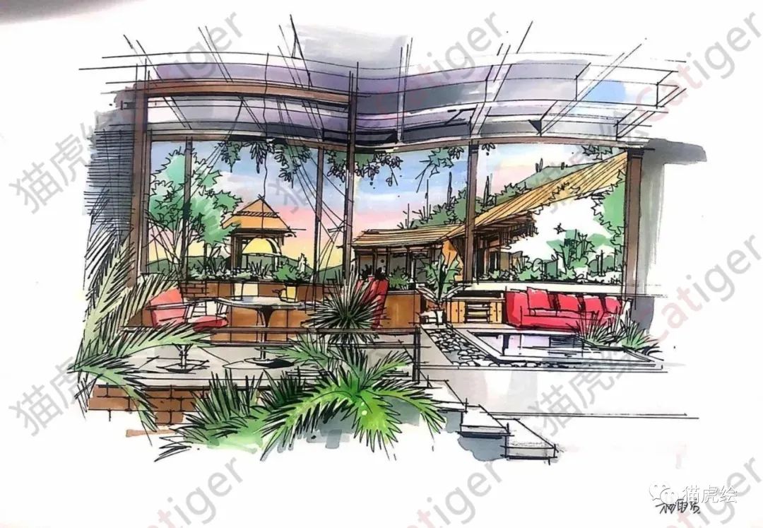 2022猫虎绘暑假手绘班招生简章「线上+线下」