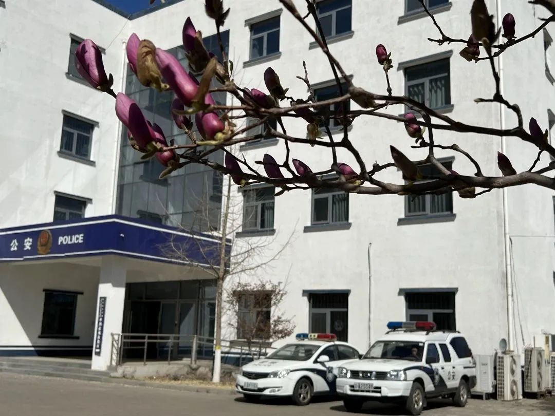 警花表白同为民警的新郎,警花燕子电影完整版