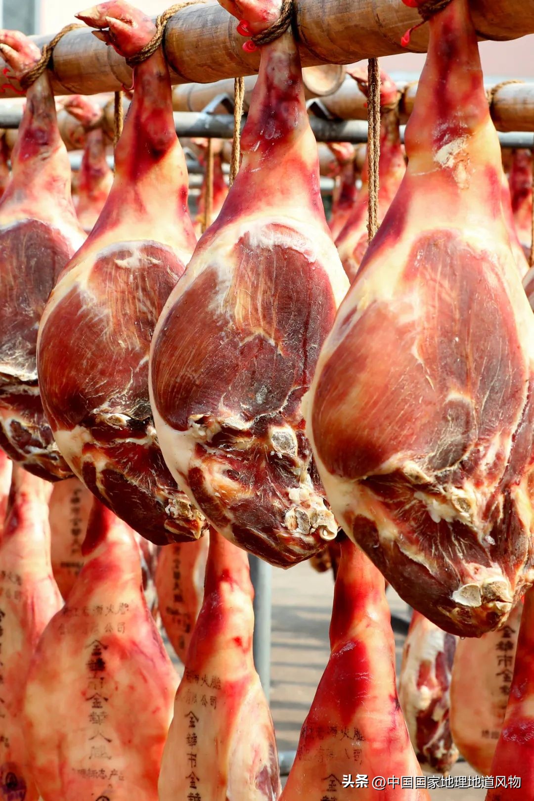全国各地吃猪图鉴,哪个地方吃的猪最多