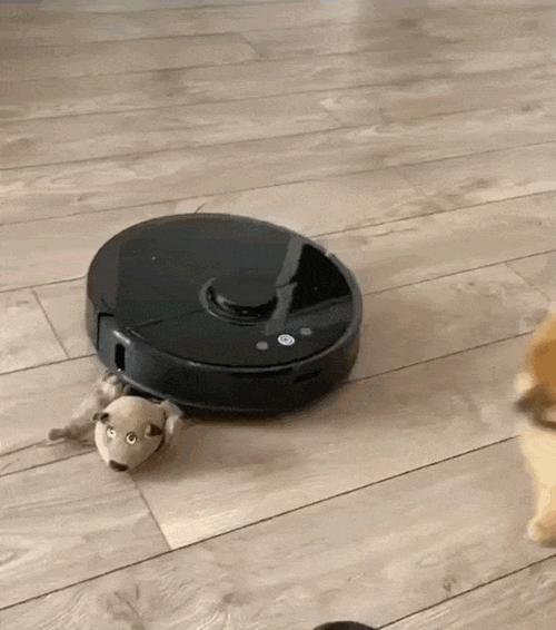 扫地机器人评测排行2021科沃斯,扫地机测评排名2023最新测评