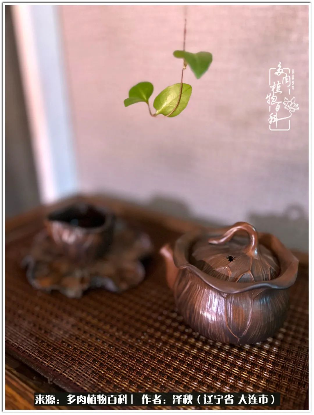 四季轮回之秋天,四季轮回之冬季