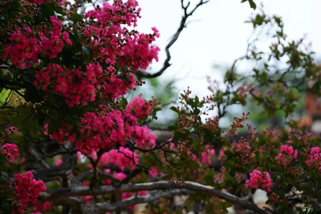 夏天旅游避暑胜地昆明,昆明中国十大避暑旅游城市第一名