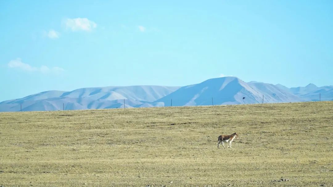 自驾穿越西藏最危险的路,4800公里川藏线穿越