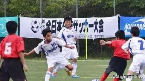 从落后到崛起视频,从排名垫底到崭露头角