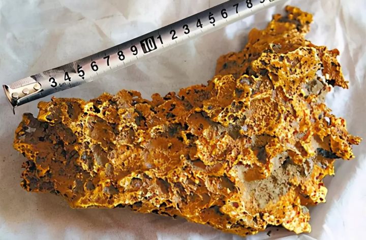 澳洲男子用廉价金属探测器寻获,挖到13公斤狗头金