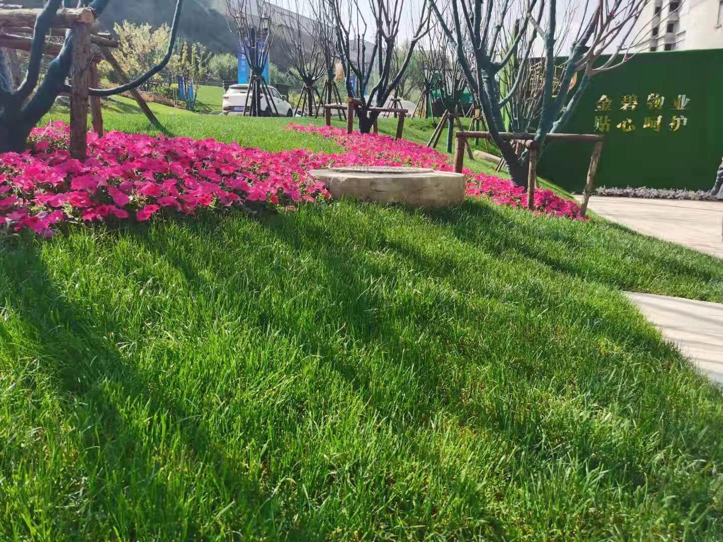 兰州恒大未来城兰州,兰州大名城与兰州恒大未来城比较