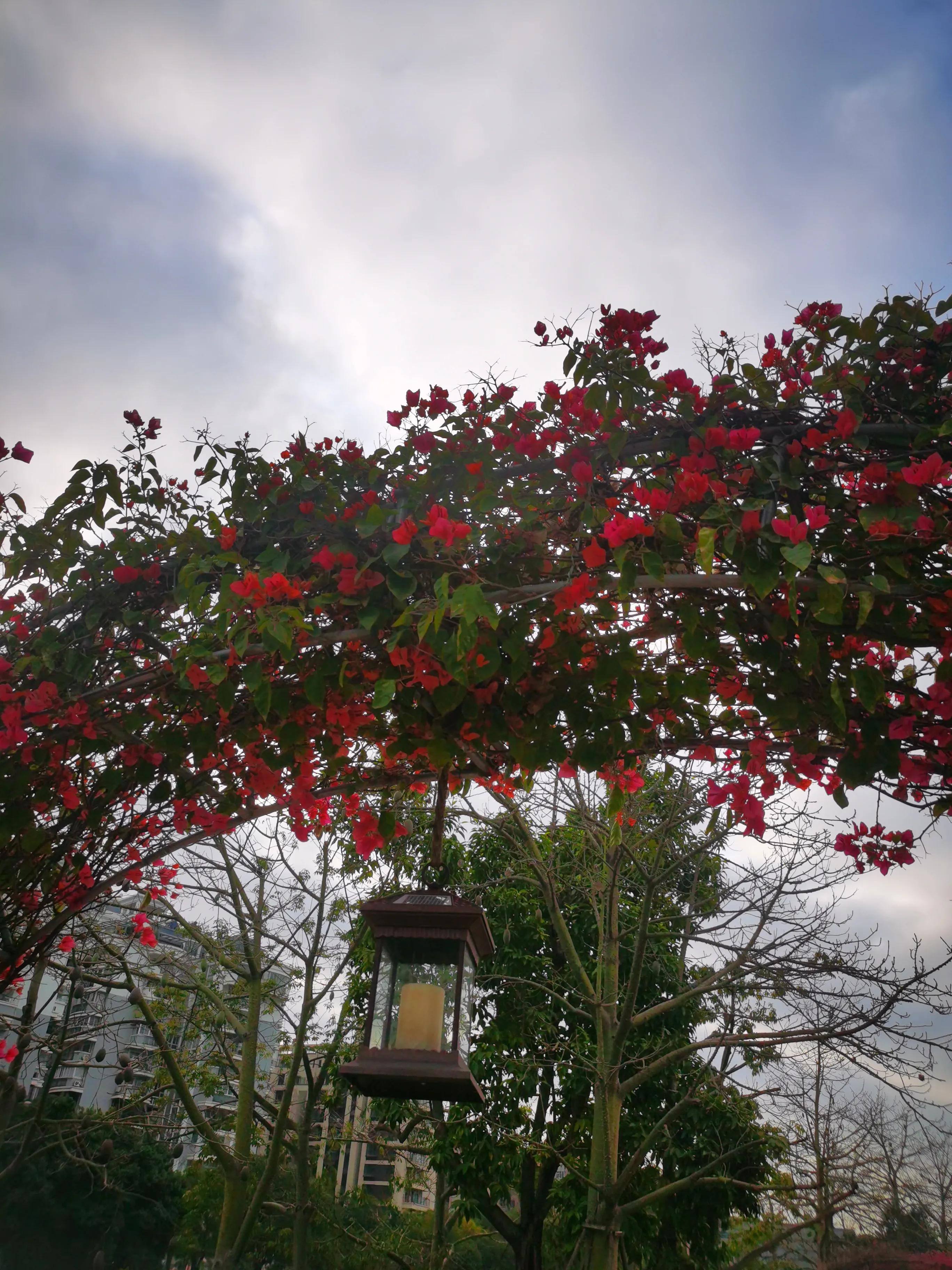 漫步在温泉河湿地公园,漫步福州静谧与繁华