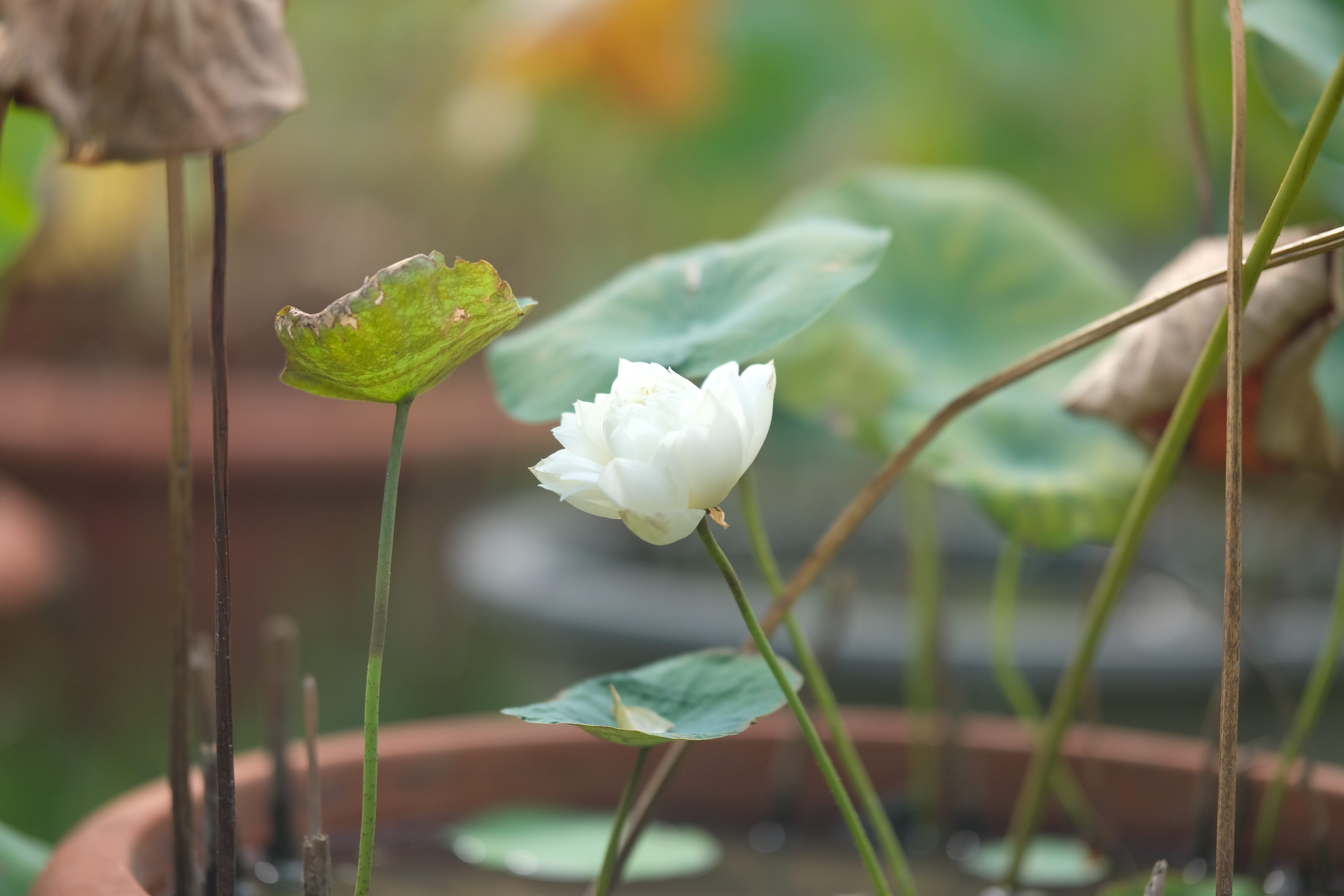 桂林20块钱风景区值得去吗,桂林半价门票