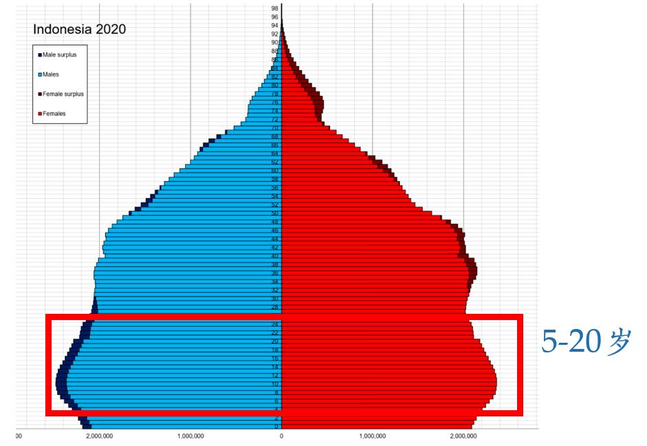 印度尼西亚经济差异,印度尼西亚零售