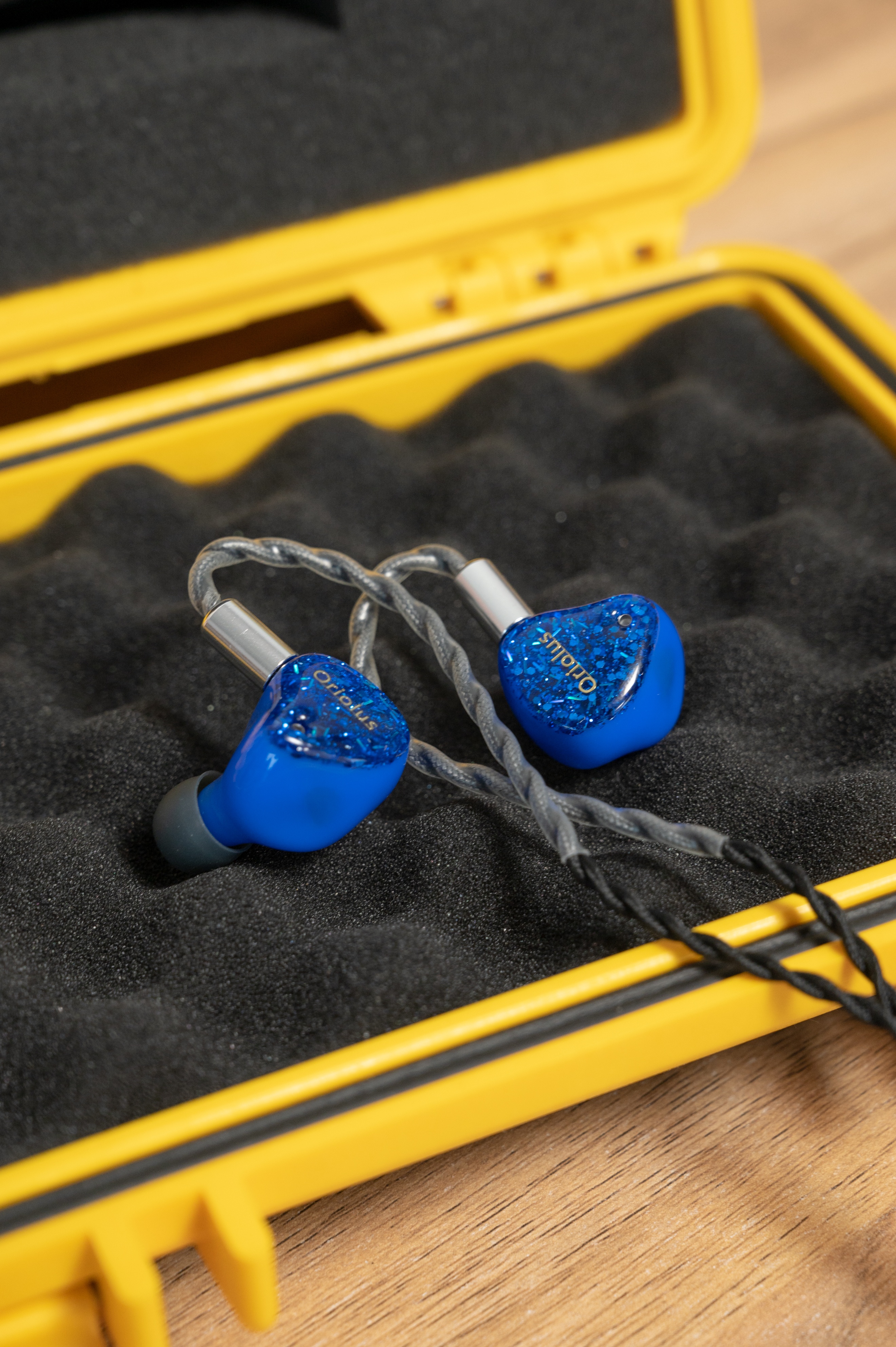 陪了我四年的黑黄鹂，是时候该说再见了