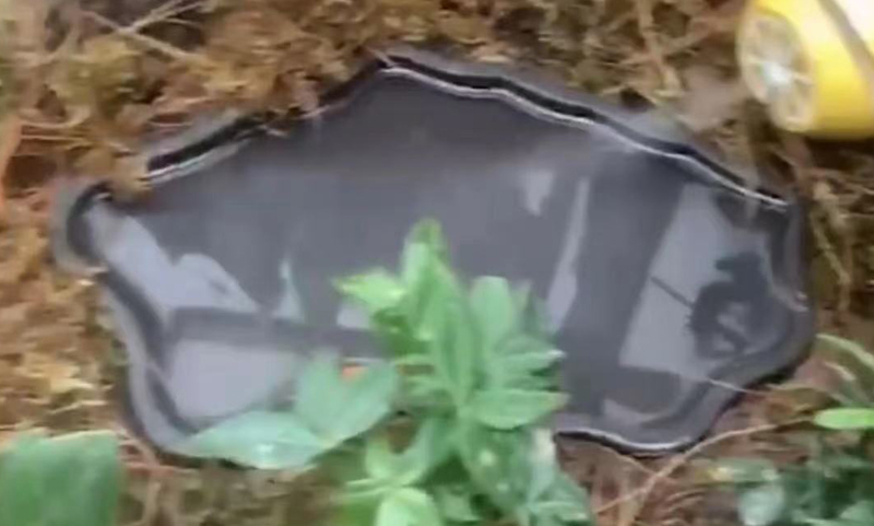 黄缘龟怎么培养,黄缘龟和黄缘闭壳龟有什么区别