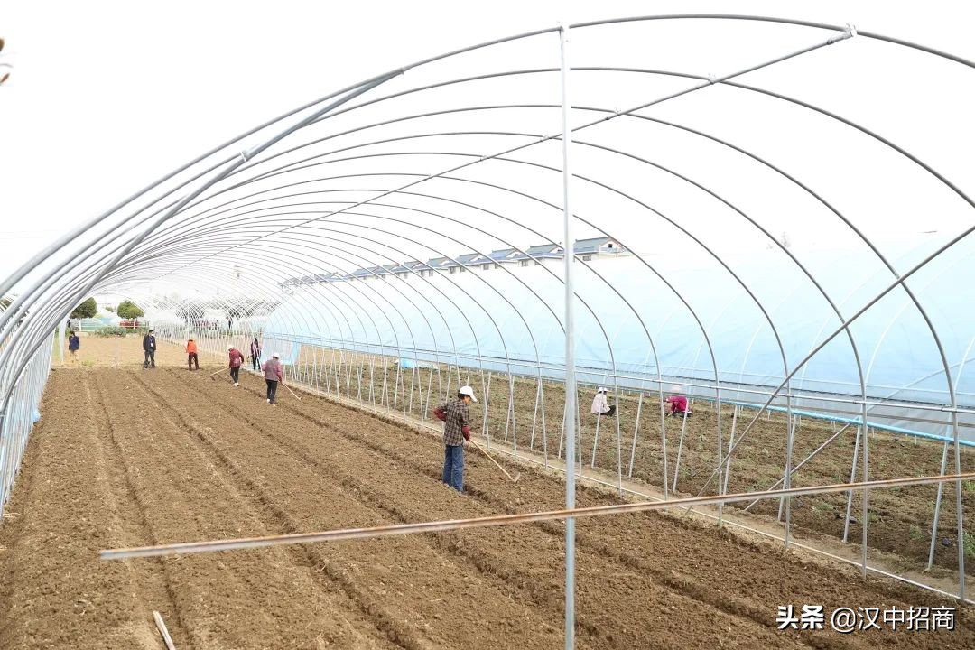 实验学校民生路地块规划,实验小学扩建工程